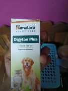 Himalaya Herbals Digyton Plus Syrup For Dogs & Cats Helps control ...