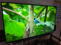 Motorola Zx Pro 127 Cm 50 Inch Ultra Hd 4k Led Smart Android Tv