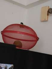 Image Placeholder