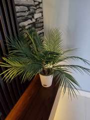 Image Placeholder