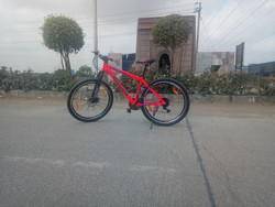 Roadeo a275 flipkart store