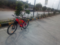 Roadeo a275 flipkart on sale