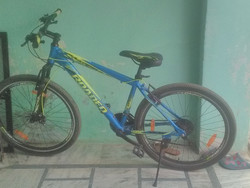 Roadeo a275 cheap