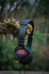 Jbl t250si hot sale flipkart