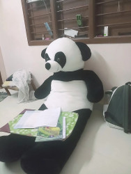 6 foot stuffed discount panda bear