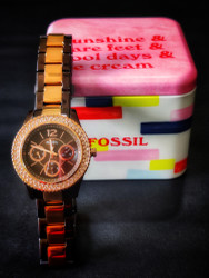Fossil online es4079 price
