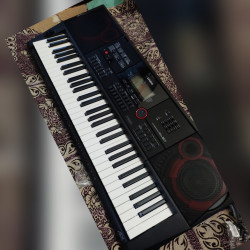 buy casio ctx8000in