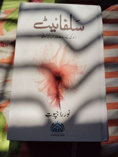 HIRA Sulfiets: Zindagi Ke Saat Pehron Ki Kahani (Urdu) - Image 3