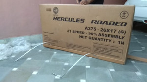 Roadeo sales a375 flipkart
