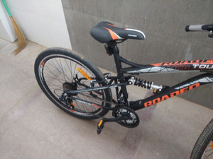 roadeo touro price