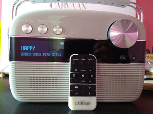 Saregama Carvaan Bluetooth Home Audio Speaker Reviews Latest