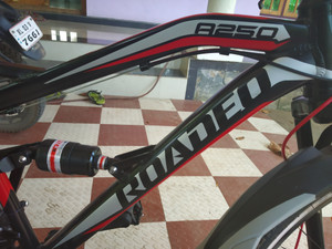 Roadeo hotsell a250 price