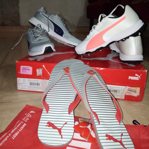 Puma evospeed flipkart clearance