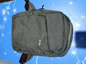 Wesley Milestone 25 L Laptop Backpack Reviews Latest Review of