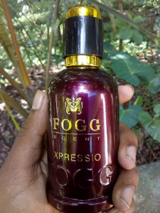 Fogg hotsell xpressio review