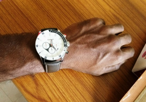 Fastrack Nd3072sm04 Chronograph Analog Watch Men Reviews Latest