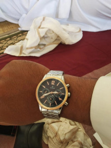 Titan online watch 1734wl01