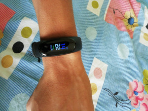 Lemontech m3 band sales