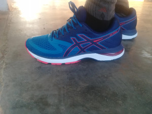 Asics gel sale pulse 10 review