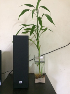 Jbl deals sb350 flipkart