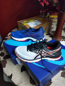 Asics Gel Pulse 10 Running Shoes Men Reviews Latest Review of