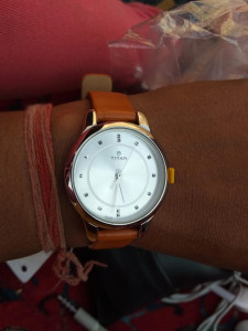2481sl01 on sale