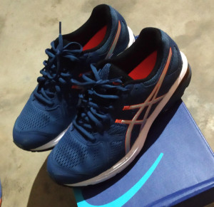 Asics Gt Xpress Ss 19 Running Shoes Men Reviews Latest Review of
