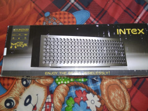 Intex muzyk hot sale b20 price