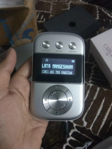 Saregama Carvaan Go Mp3 Player Reviews Latest Review of Saregama
