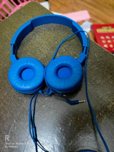 Jbl t450 flipkart store