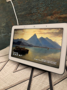 Google nest hub flipkart best sale