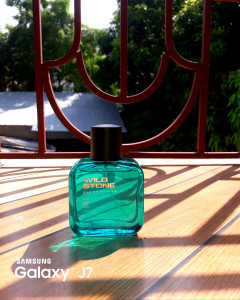 Wild stone sales edge perfume review