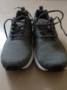 Nrgy puma hot sale review