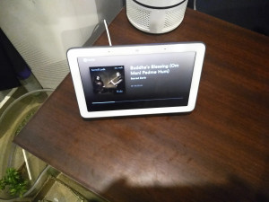 Google nest hub flipkart deals