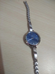 Titan 2578qm01 Raga Viva Plating Refresher Analog Watch Women