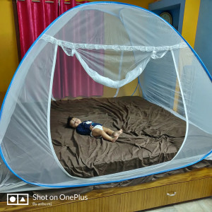 Mosquito net reviews clearance
