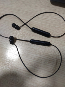 Sony wic 200 2025 review