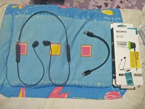 Sony wi c200 flipkart on sale