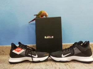Nike lebron flipkart store
