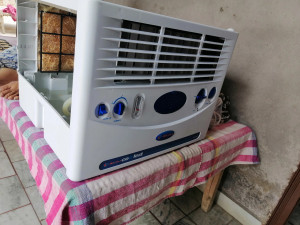 Bajaj coolest sales sb 2003