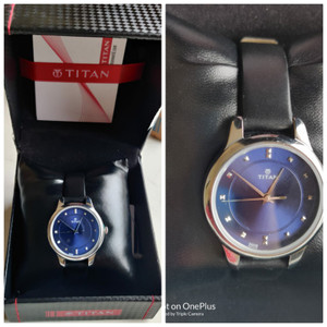 2481sl01 hotsell