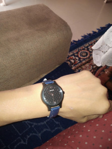 87030pl01 online