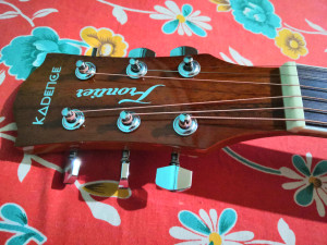 Kadence guitar on sale under 5000