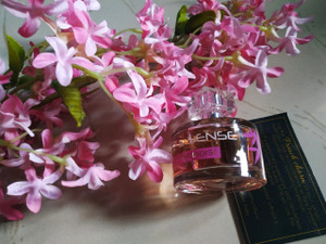 Paris Elysees Dolce Sense Vanille Framboise Eau De Parfum 60 Ml