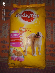 Flipkart pedigree sales