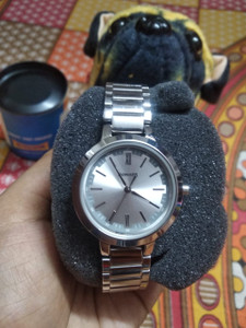 Sonata 8141sl01 Steel Daisies Analog Watch Women Reviews Latest