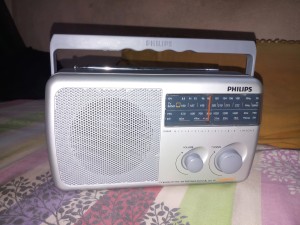 Philips Radio RL384TV/N with MW/FM/SW/TV Bands, 500mW RMS Sound output at  Rs 1299, FM Radio in Pondicherry