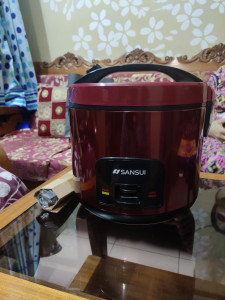 Sansui electric rice cooker top