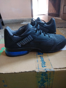 Puma leader vt 2025 bold