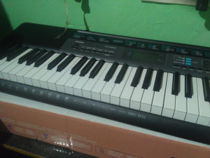 Casio ctk hotsell 2550 flipkart